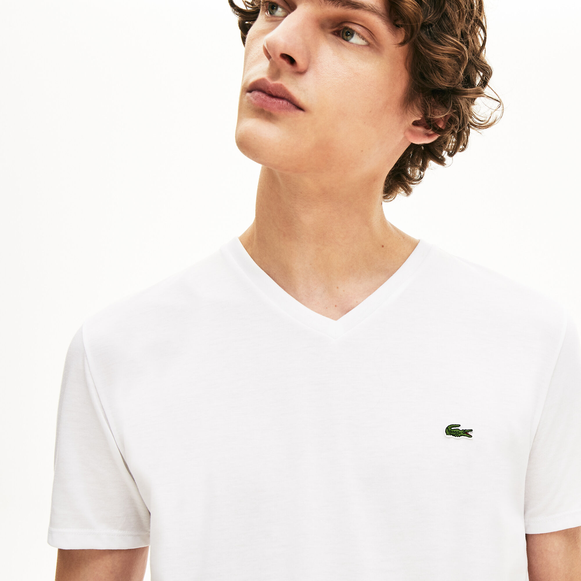 lacoste mens v neck