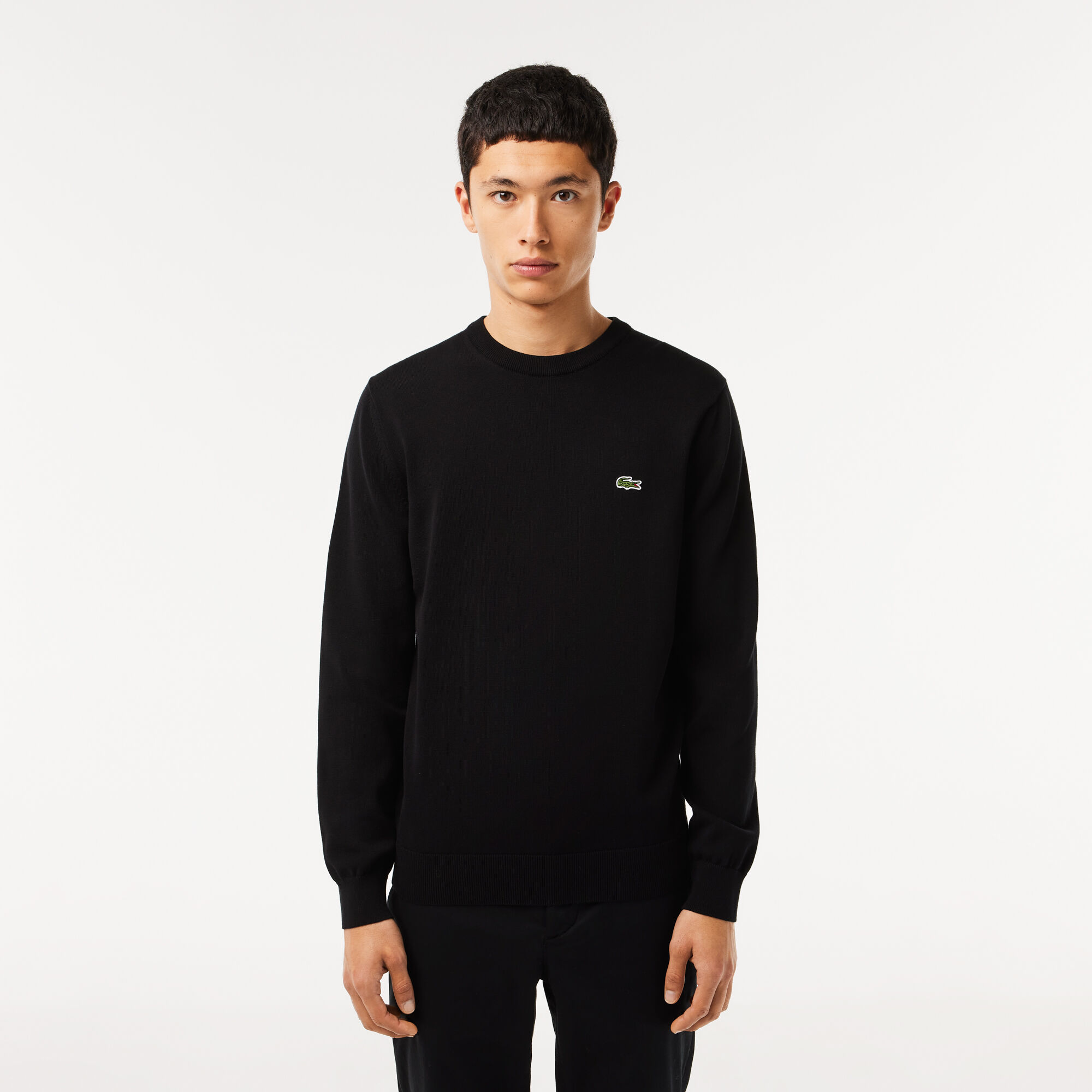 lacoste men's cotton sweater